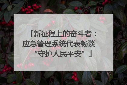 新征程上的奋斗者：应急管理系统代表畅谈“守护人民平安”