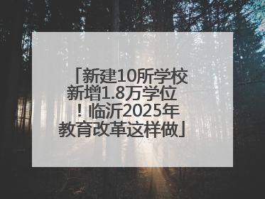 新建10所学校新增1.8万学位！临沂2025年教育改革这样做
