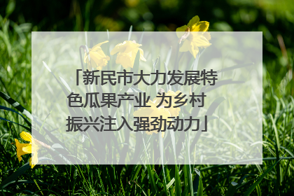 新民市大力发展特色瓜果产业 为乡村振兴注入强劲动力
