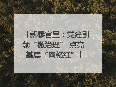 新泰宫里：党建引领“微治理” 点亮基层“网格红”