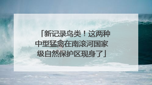 新记录鸟类！这两种中型猛禽在南滚河国家级自然保护区现身了