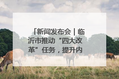 新闻发布会｜临沂市推动“四大改革”任务，提升内部审计监督效能