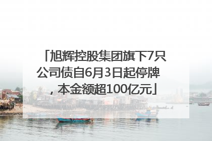 旭辉控股集团旗下7只公司债自6月3日起停牌，本金额超100亿元