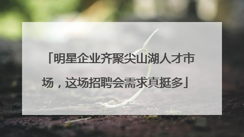 明星企业齐聚尖山湖人才市场，这场招聘会需求真挺多