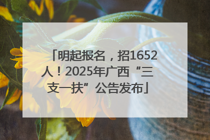 明起报名，招1652人！2025年广西“三支一扶”公告发布