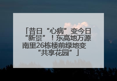 昔日“心病”变今日“新景”！东高地万源南里26栋楼前绿地变“共享花园”