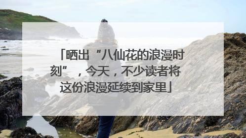晒出“八仙花的浪漫时刻”，今天，不少读者将这份浪漫延续到家里