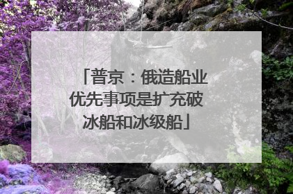 普京：俄造船业优先事项是扩充破冰船和冰级船