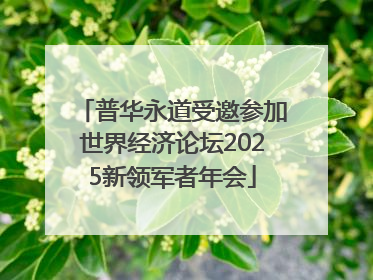 普华永道受邀参加世界经济论坛2025新领军者年会