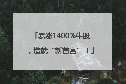 暴涨1400%牛股，造就“新首富”！
