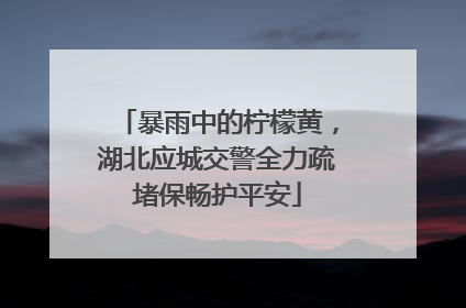暴雨中的柠檬黄，湖北应城交警全力疏堵保畅护平安
