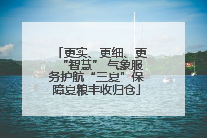 更实、更细、更“智慧” 气象服务护航“三夏”保障夏粮丰收归仓
