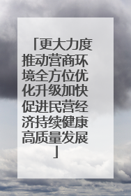 更大力度推动营商环境全方位优化升级加快促进民营经济持续健康高质量发展
