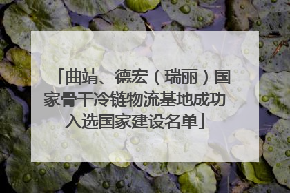 曲靖、德宏（瑞丽）国家骨干冷链物流基地成功入选国家建设名单
