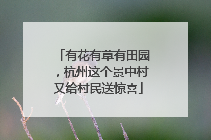 有花有草有田园，杭州这个景中村又给村民送惊喜