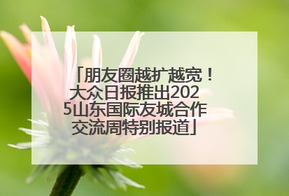 朋友圈越扩越宽！大众日报推出2025山东国际友城合作交流周特别报道