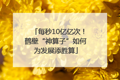 每秒10亿亿次！鹤壁“神算子”如何为发展添胜算