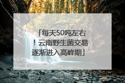每天50吨左右！云南野生菌交易逐渐进入高峰期