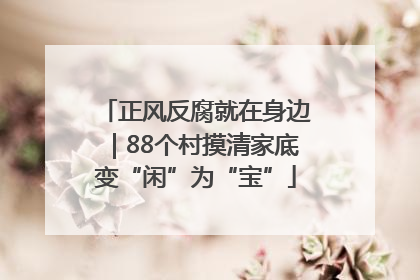 正风反腐就在身边｜88个村摸清家底变“闲”为“宝”
