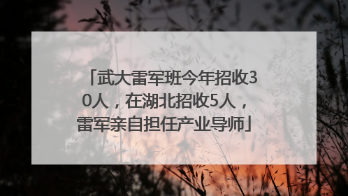 武大雷军班今年招收30人，在湖北招收5人，雷军亲自担任产业导师