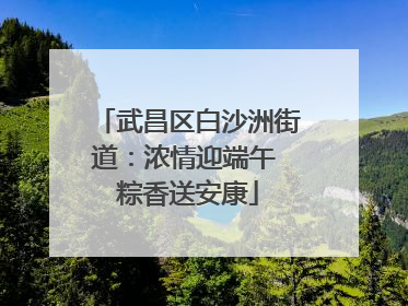 武昌区白沙洲街道：浓情迎端午 粽香送安康