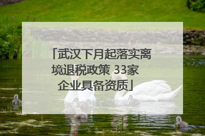 武汉下月起落实离境退税政策 33家企业具备资质