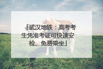 武汉地铁：高考考生凭准考证可快速安检、免费乘坐
