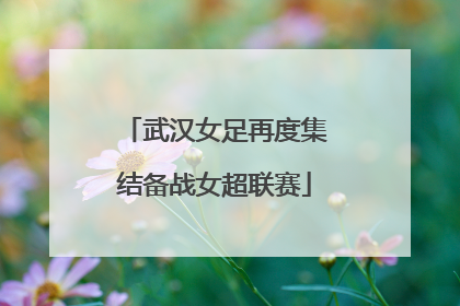 武汉女足再度集结备战女超联赛