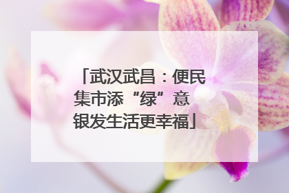 武汉武昌：便民集市添“绿”意 银发生活更幸福