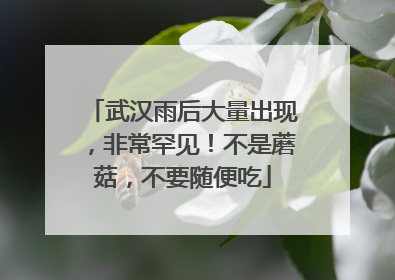 武汉雨后大量出现，非常罕见！不是蘑菇，不要随便吃