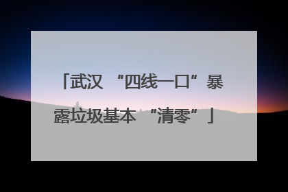 武汉 “四线一口”暴露垃圾基本 “清零”