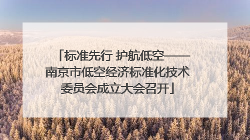标准先行 护航低空——南京市低空经济标准化技术委员会成立大会召开