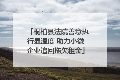 桐柏县法院善意执行显温度 助力小微企业追回拖欠租金