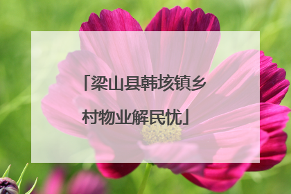梁山县韩垓镇乡村物业解民忧