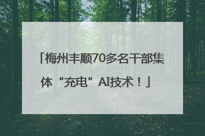 梅州丰顺70多名干部集体“充电”AI技术！