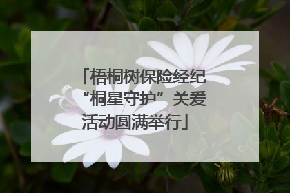 梧桐树保险经纪“桐星守护”关爱活动圆满举行