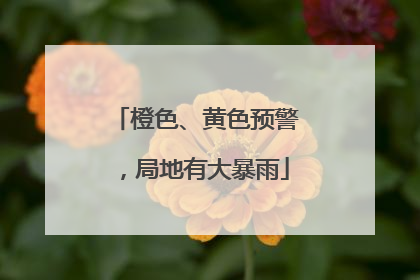橙色、黄色预警，局地有大暴雨