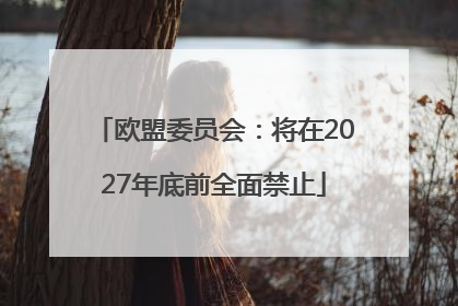 欧盟委员会：将在2027年底前全面禁止