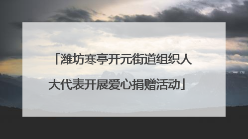 潍坊寒亭开元街道组织人大代表开展爱心捐赠活动