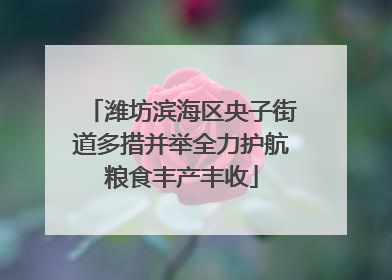 潍坊滨海区央子街道多措并举全力护航粮食丰产丰收