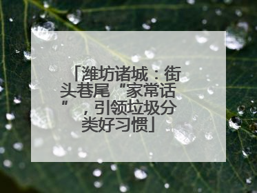 潍坊诸城：街头巷尾“家常话”，引领垃圾分类好习惯