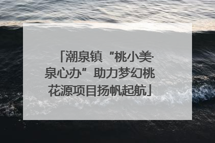 潮泉镇“桃小美·泉心办”助力梦幻桃花源项目扬帆起航