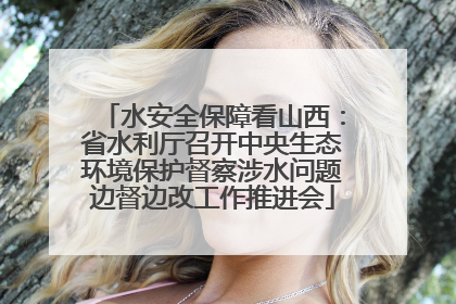 水安全保障看山西：省水利厅召开中央生态环境保护督察涉水问题边督边改工作推进会