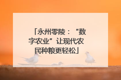 永州零陵：“数字农业”让现代农民种粮更轻松