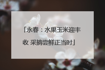永春：水果玉米迎丰收 采摘尝鲜正当时