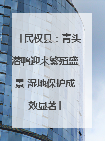 民权县：青头潜鸭迎来繁殖盛景 湿地保护成效显著