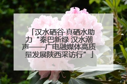 汉水硒谷·真硒水助力“秦巴新绿 汉水潮声——广电融媒体高质量发展陕西采访行”