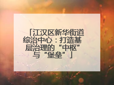 江汉区新华街道综治中心：打造基层治理的“中枢”与“堡垒”