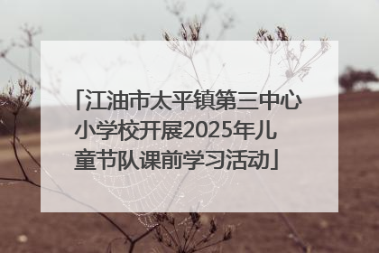 江油市太平镇第三中心小学校开展2025年儿童节队课前学习活动