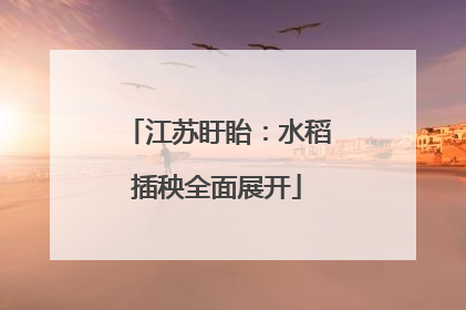 江苏盱眙：水稻插秧全面展开